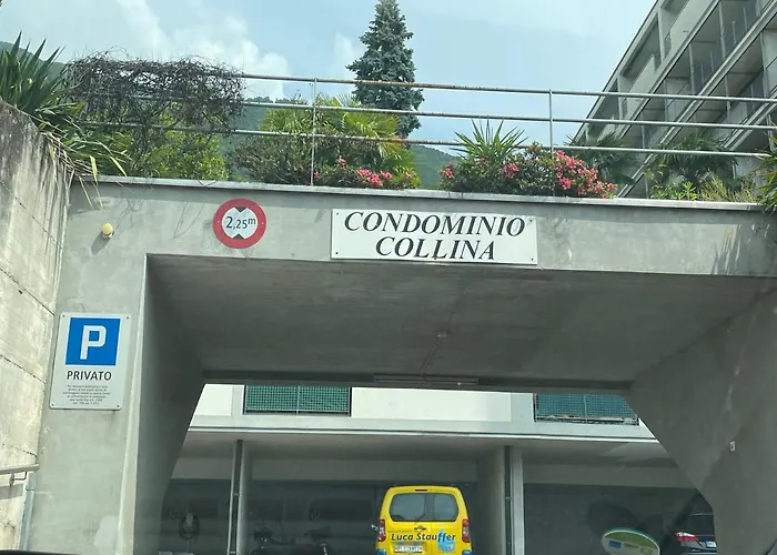Muralto-locarno: Collina Apt. 32 Muralto